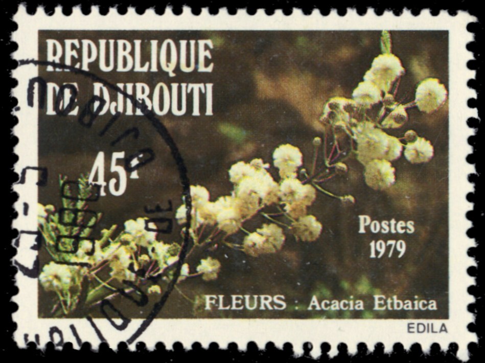 DJIBOUTI 501 - Native Flowers 