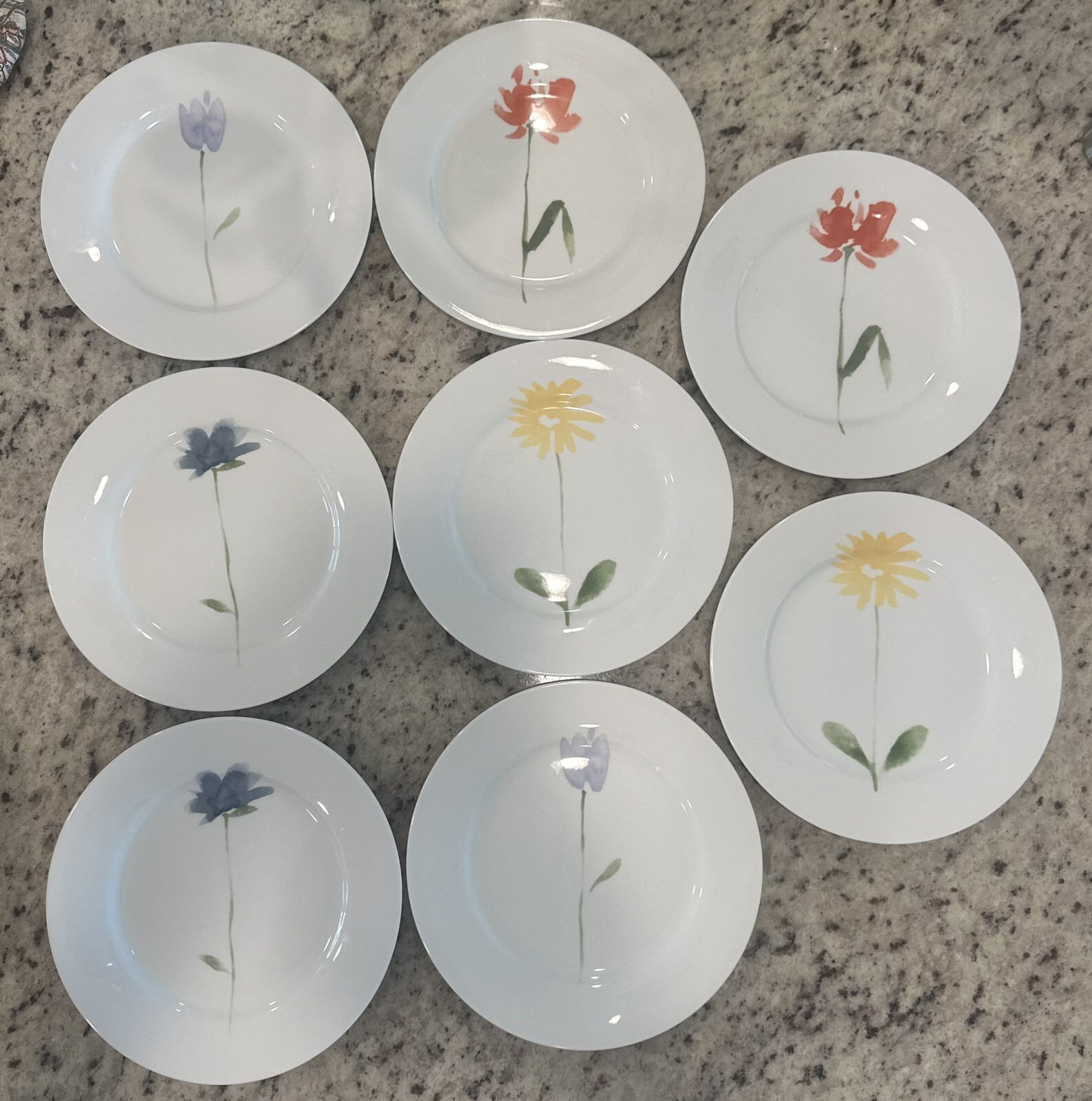 Set of 8 Pier 1 Floral Salad Dessert Plates 7-5/8 in