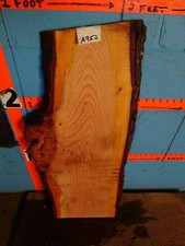 A952 1 1/16" THICK cherry burl live edge slab shelf table bench