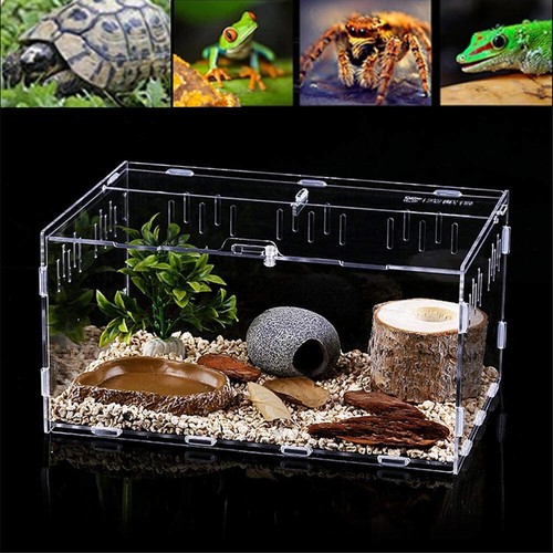 Reptiles Glass Terrarium Vivarium or Acrylic Breeding Box For Gecko Lizard Frog - Picture 14 of 16