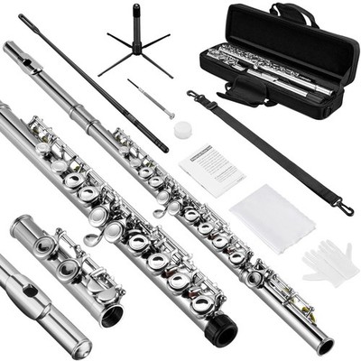 POGOLAB Nickel Plated Flute 16 Keys Closed Hole C with Offset G & Split E Key