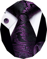 Paisley Tie Sets Floral Necktie Handkerchief Cufflinks Set Silk Woven Ties Busin