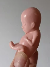1 hard plastic model fetus, unusual medical fetal doll, abortion