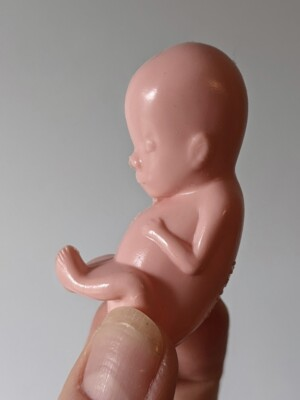 #ad 1 hard plastic model fetus unusual medical fetal doll abortion $6.99