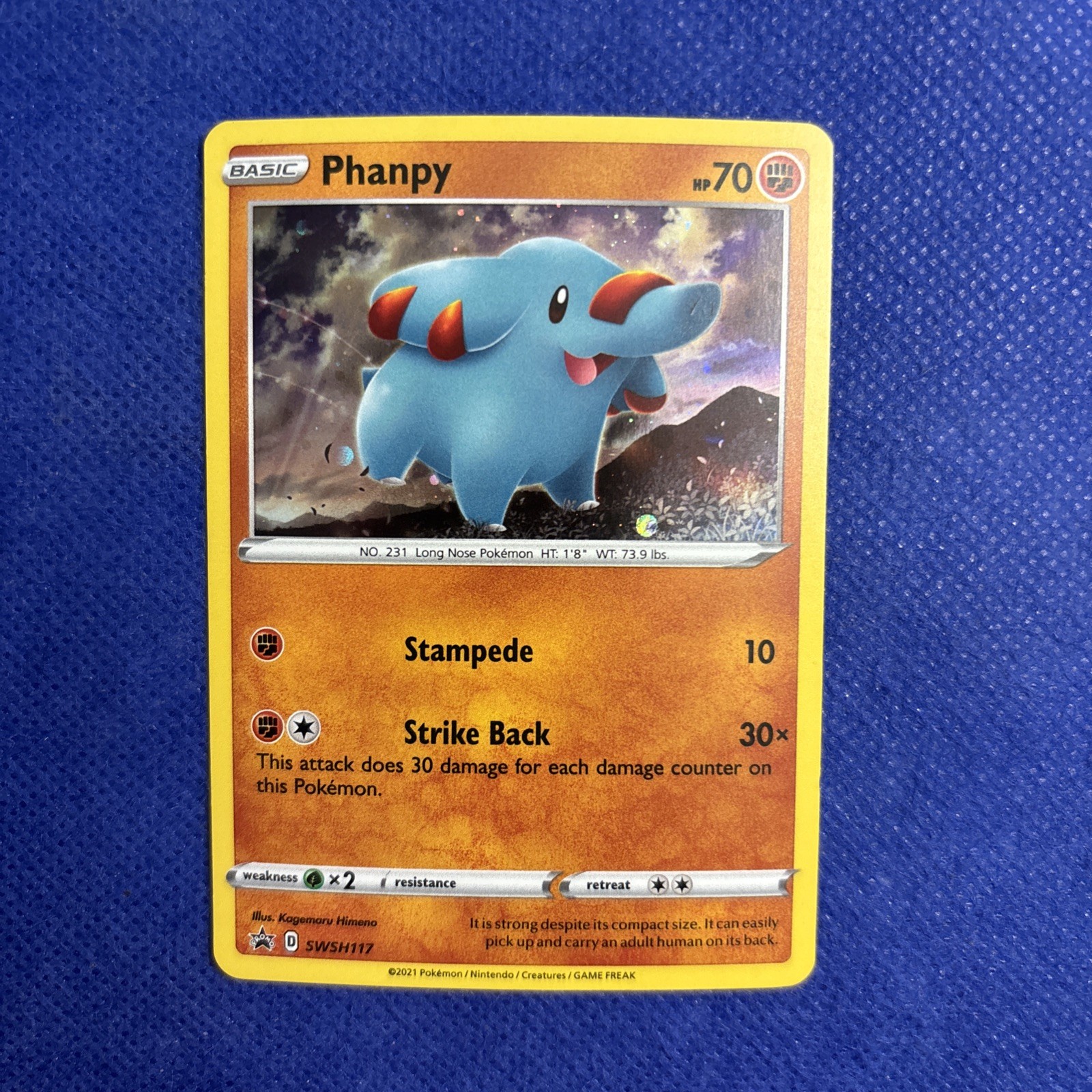 Phanpy SWSH117 Pokemon Sword & Shield Black Star Promo Holo NM