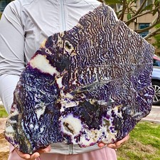 5.97LB Zebra Stone Fragment - Rare Natural Crystal Collector's Specimen