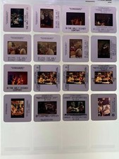 16 Dinosaurs Show 35mm Slides Animatronic Disney TV Series Promo Vtg 90s Lot #1