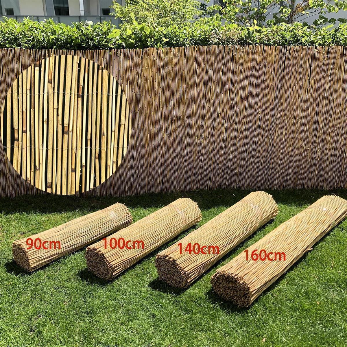 bonsai wald kaufen Chinese Elm Forest (Three Trees) on a Slab main image 1