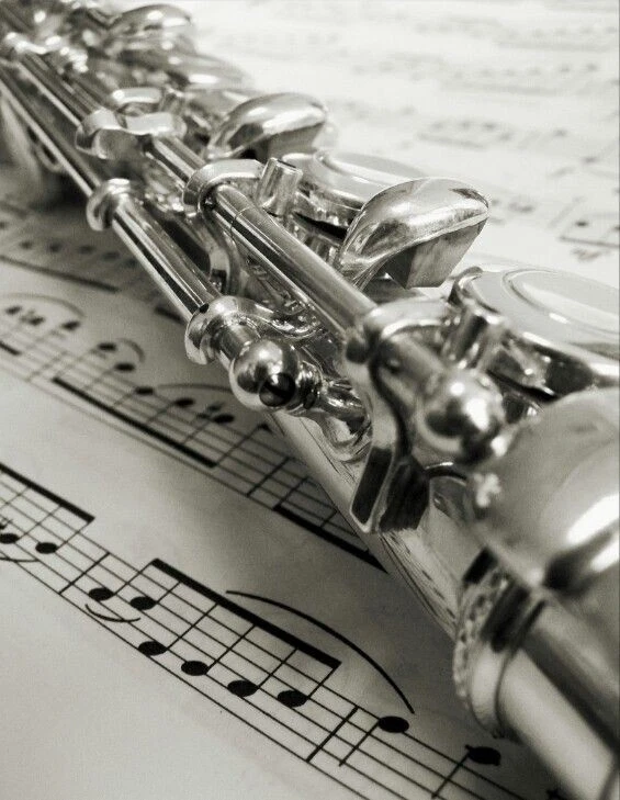 FLAUTA - FLAUTAS BANDA PLATEADA CONCIERTO/INTERMEDIO/PRO NUEVO ESTUDIANTE-CON ALMOHADILLAS YAMAHA Foto 4 de 4