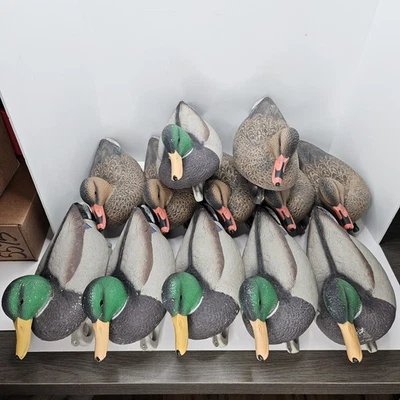 12 Entenköder Hartkern Promo Stockente Erpel Henne schwimmend Kunststoff 2012 Jagd - Bild 1 von 4