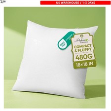 Ashler 18 x 18 Pillow Inserts, Hypoallergenic Throw Pillows Insert,Set of 1