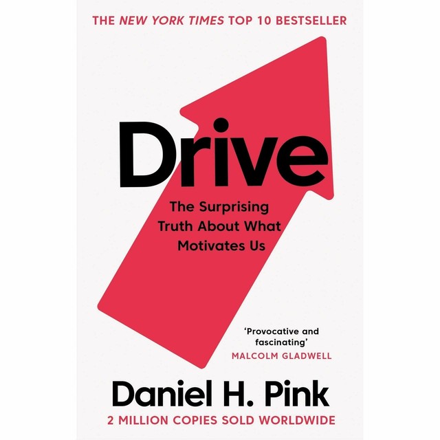 Drive The Surprising Truth About What Motivates US by Daniel H. Pink