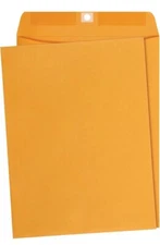 Amazon Basics 9 x 12-Inch Clasp Kraft Envelopes, Gummed, 9" x 12", 