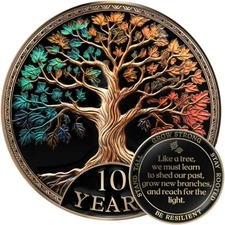 Sobriety Coin Gift Set 10 Year Tree of Life AA Chip with Capsule Stand and Card