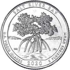 2020 P Parks Quarter ATB Salt River Park Choice BU CN-Clad See Pics W740