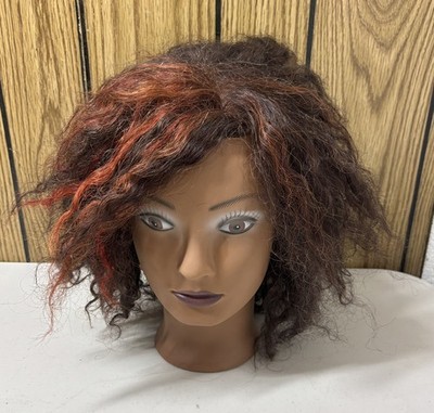 Diane Fromm Naomi D315 Mannequin Head Cosmetology  Pre Owned