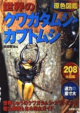 Primary colors Stag and rhinoceros beetles of the world Illustrated Book