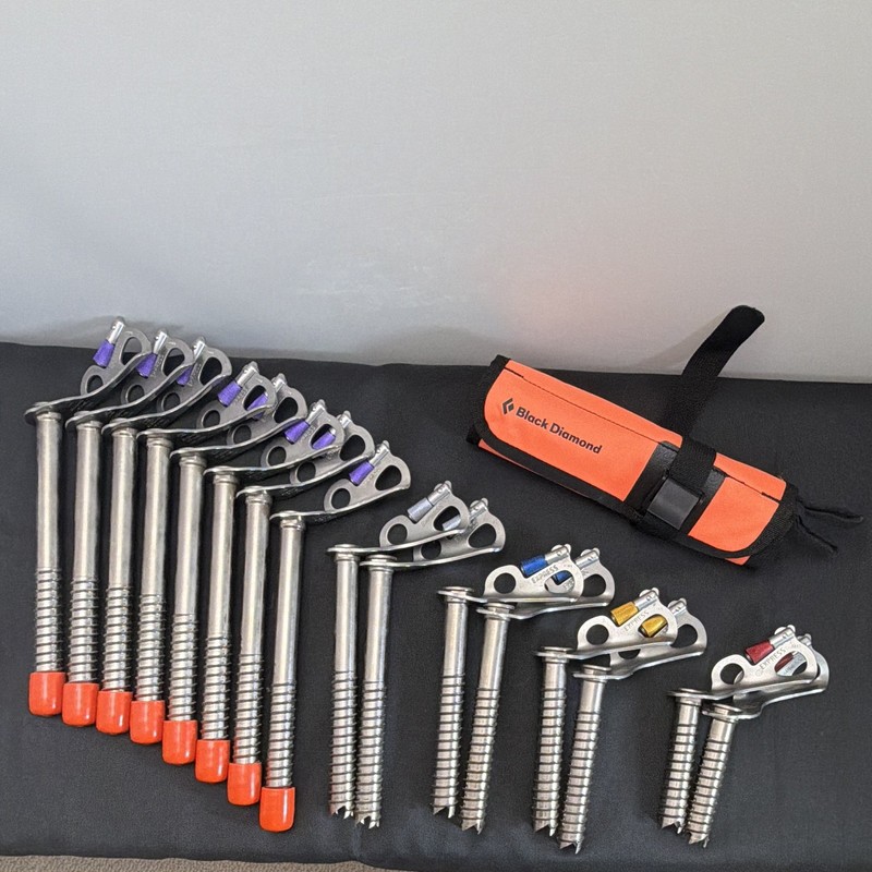 Black Diamond Express Ice Screw Mixed - Lot of 16 - w/ Storage Roll Carry Case