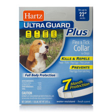 2 PACK Hartz UltraGuard Plus Flea Tick Dog Collar - Puppies - Water-Resistant