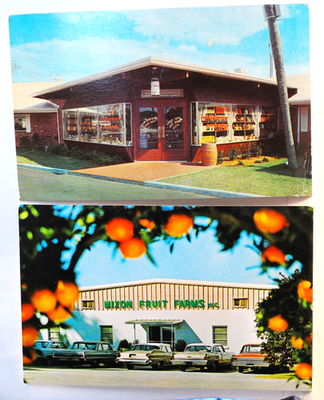 #ad #ad Mixon Fruit Farms 67 Kissin Cuzzins Pancake Inn 71 Bradenton Fl Postcard $6.60