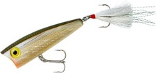 Tennessee Shad Pop R Topwater Fishing Lure Legendary Bass Tournament Bait