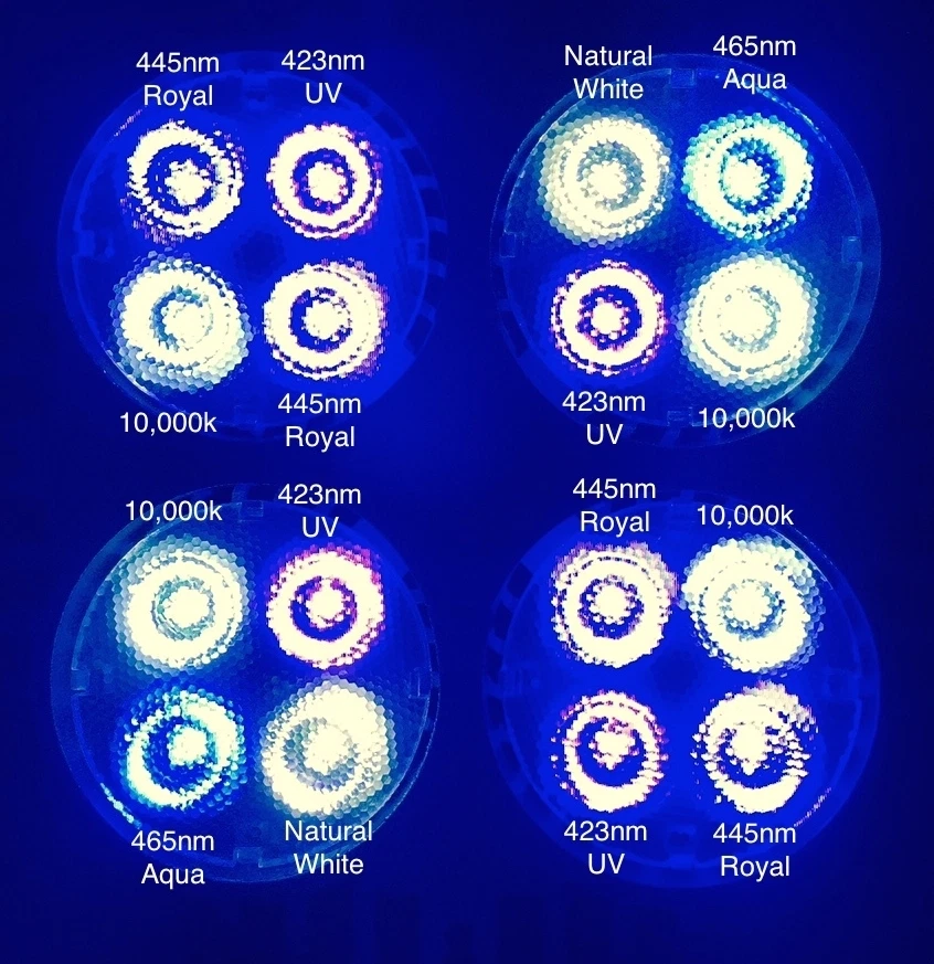 Acuario Arrecife CREE Bombilla LED 35W Luz de Espectro Completo con Montaje Opcional Par30 38 Foto 3 de 4