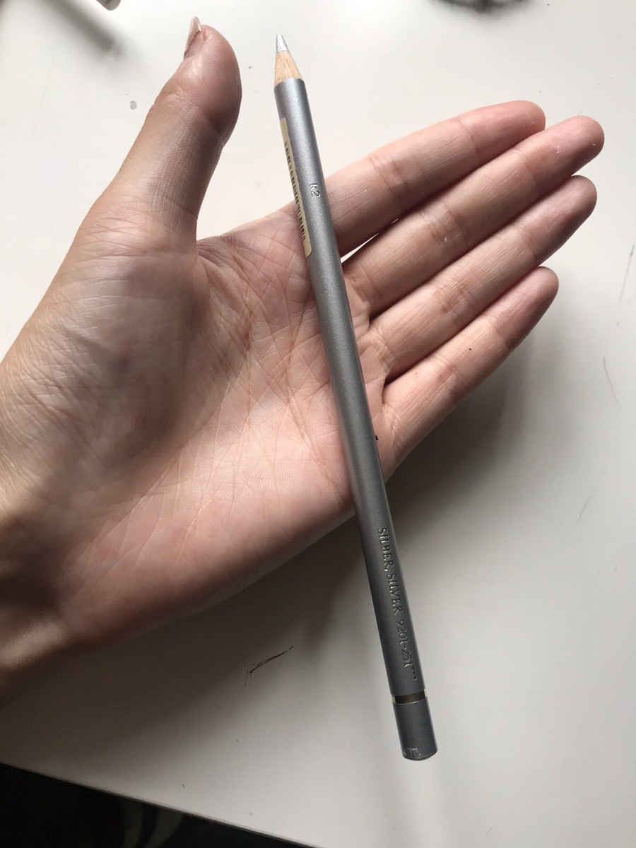 Faber-Castell Polychromos Artist Pencil – Single Pencil In Colour 251 Silver