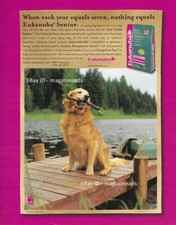 EUKANUBA ANUNCIO IMPRESO REVISTA 1 PÁGINA 2000 hermoso senior GOLDEN RETRIEVER en base