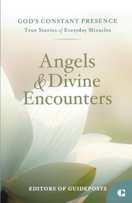 Angels & Divine Encounters: True Stories of Everyday Miracles (God's Constan...