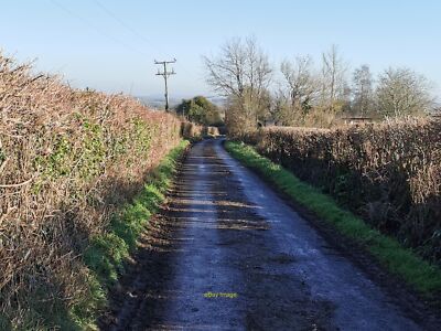 Foto 12x8 Curry Mallet: Staundle Lane Blick entlang Staundle Lane. c2022