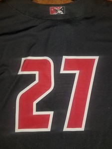 lansing lugnuts jersey