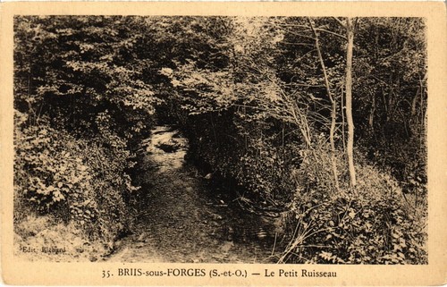 CAR ADPP9 0554 43   MONTFAUCON DU VELAY   Il Monumento Ai Caduti Della