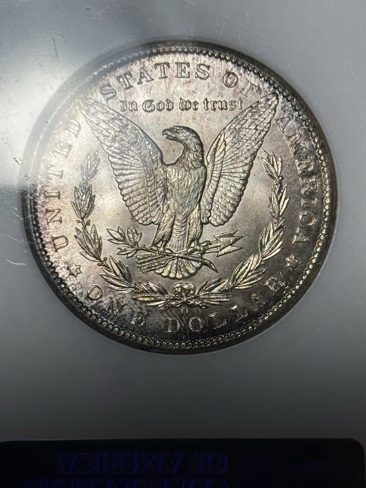 1899-O NGC MS64 Morgan Dollar, Old Vintage Fatty Better Date, Elegant Toned, PQ! - Image 3 of 4