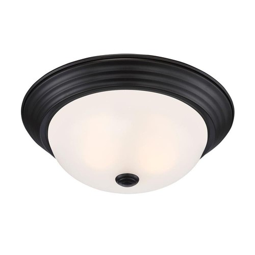 2-Light Flush Mount Ceiling Light, 13 Inch Lighting Fixture for Kitchen, Bedr...