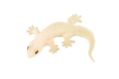 Spiny Tailed Gecko Lizard Realistic Toy Figure Model 2.5
