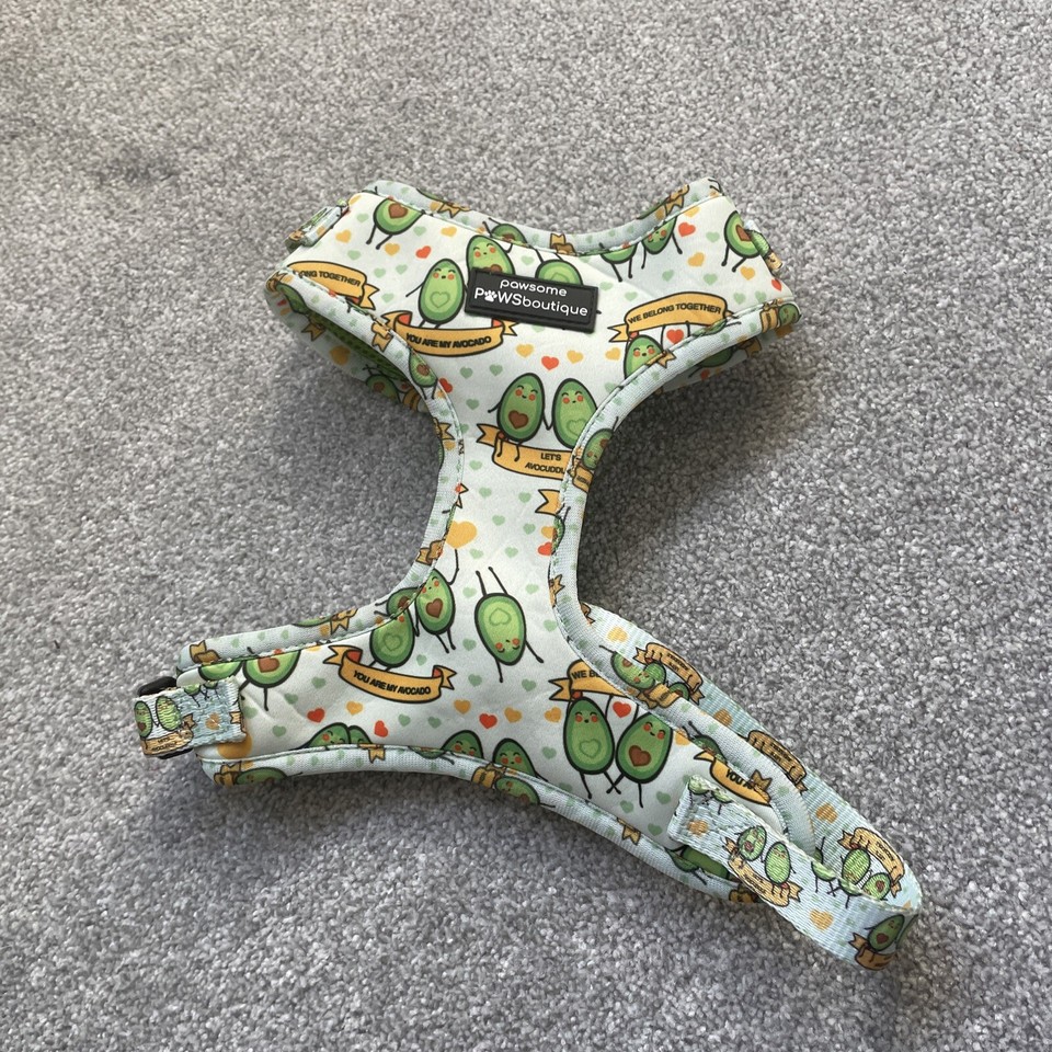 Avocado Dog Harness And Lead Small eBay