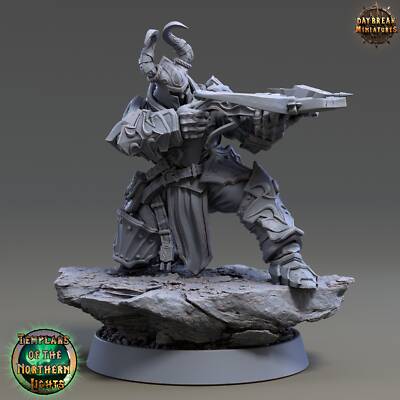 Templars of the Northern Lights - Erland Bloodwagon | DnD Miniatures | Tabletop