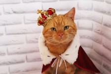 Set of Royal Crown Cape Dog Birthday Accessory Cat Hat Pets Christmas Costumes