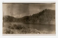 AZO RPPC Nature Scene Tree Covered Mountains River Real Photo Postcard 1904-1918