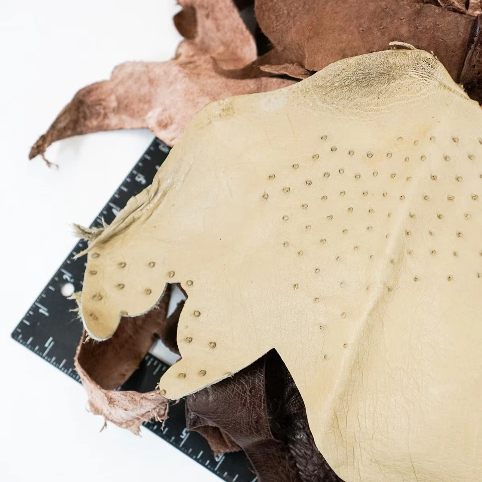 REALES Restos de Avestruz-Multicolor-Cuero Chatarra-MTR Cuero Personalizado-1 Libra-Bargi Foto 2 de 4