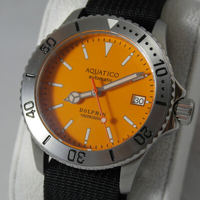 Aquatico Dolphin 39mm automatic diver watch 30 ATM orange dial mermaid  engraving