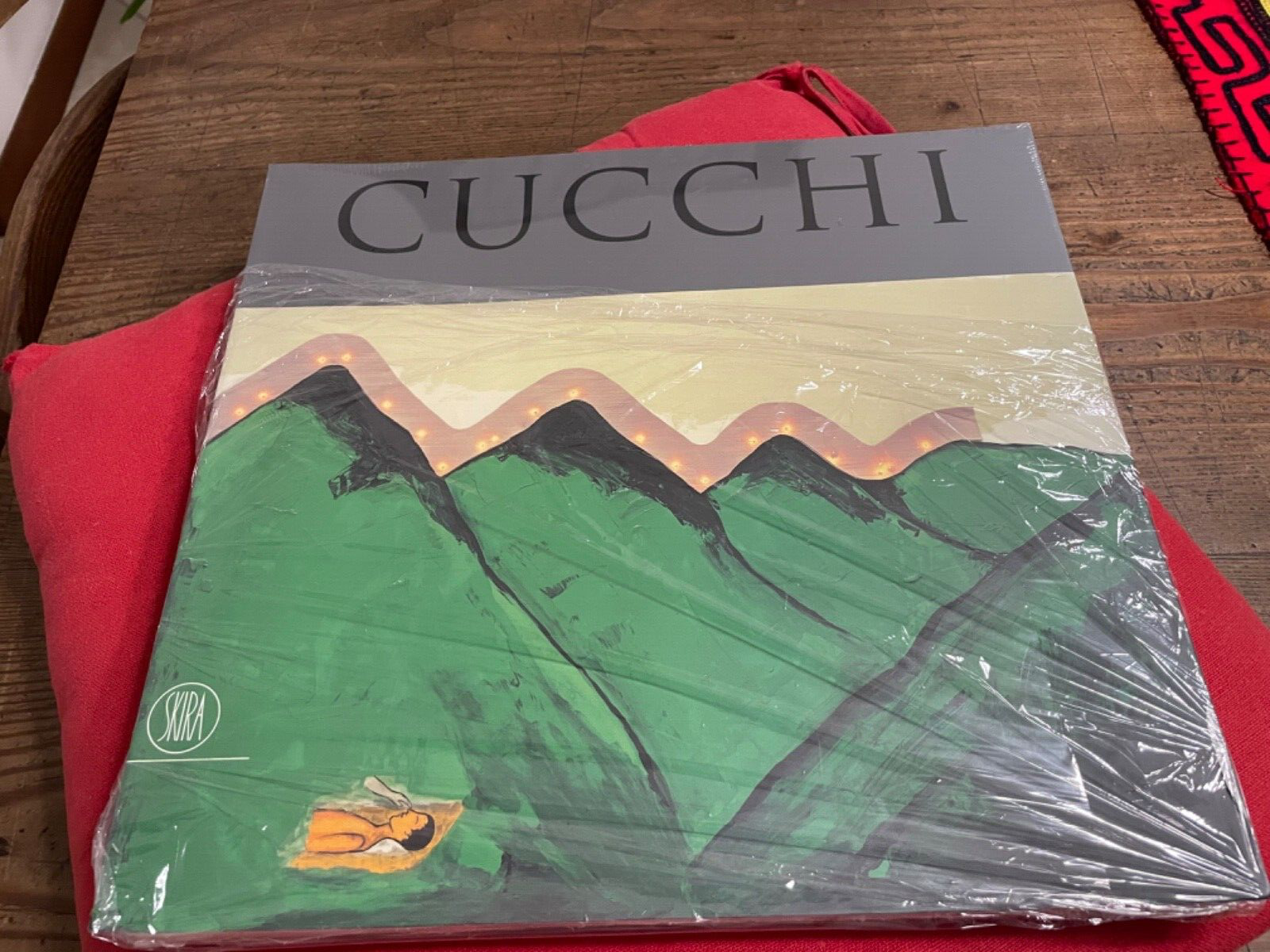 ENZO CUCCHI- SKIRA 2007 edizione italiana-(SIGILLATO)