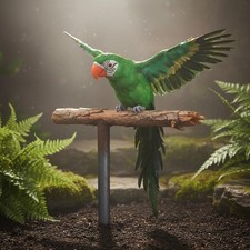 Feather Parrot Decoration Stage Stage Prop Lifelike Parrot Figurine for Home