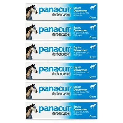 MERCK Panacur Dewormer Horse Paste 10%, 100mg | 6-Pack