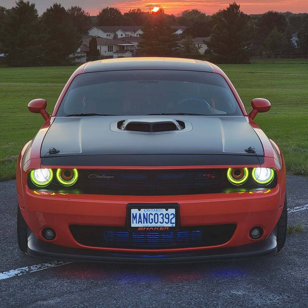 Monroe ML5266 Maxlift Gasfeder - Motorhauben-Stütze Für Einfaches Öffnen