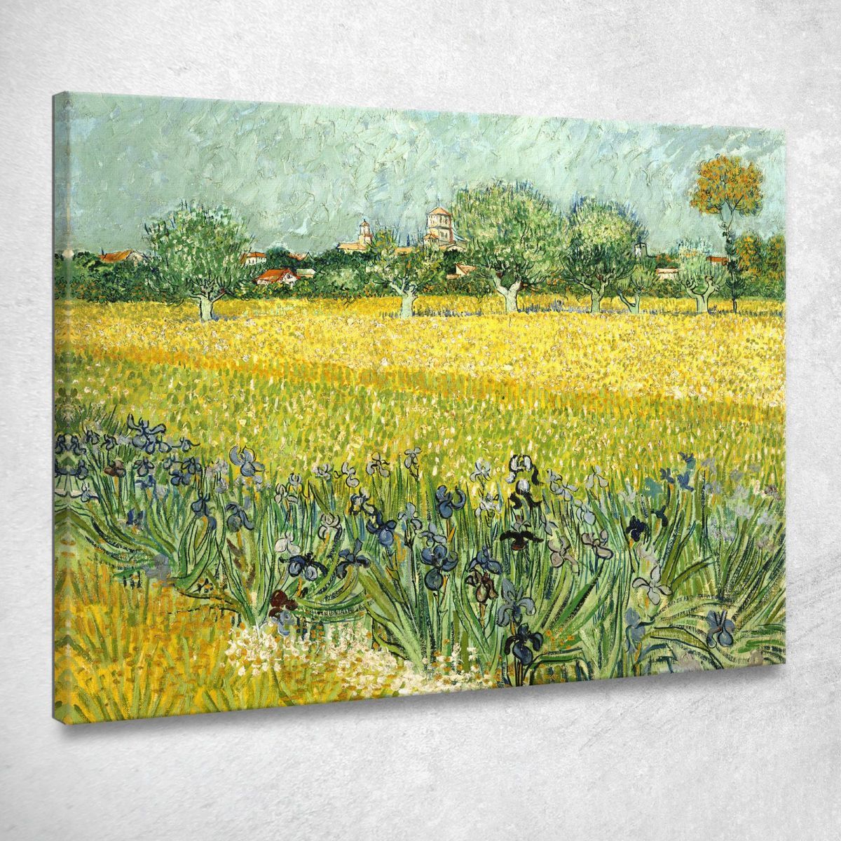Feld Mit Blumen In Der Nähe Von Arles Vincent van Gogh, vvg124 drucken auf leinw