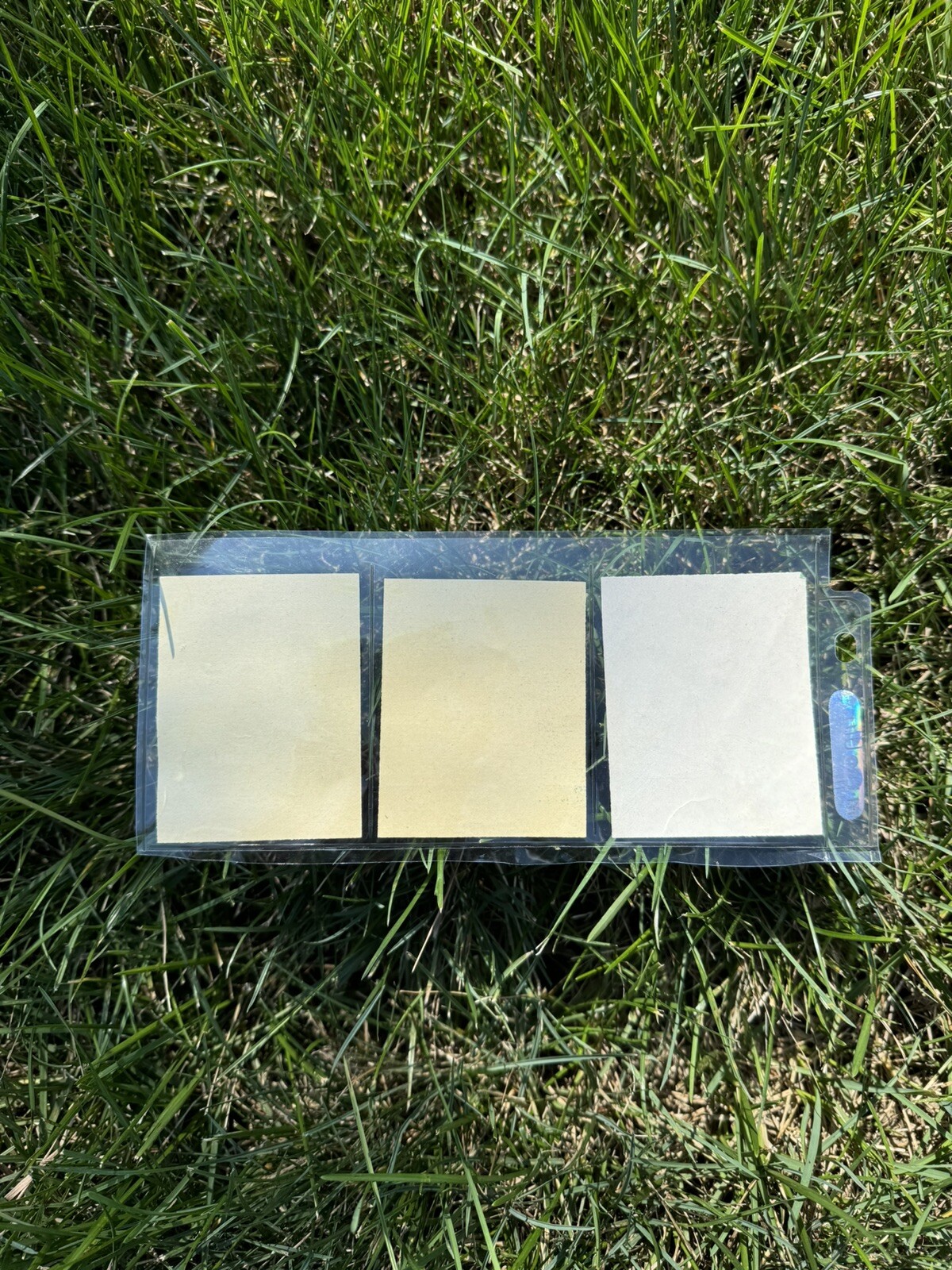 Picture 5 of 8