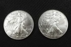 NobleSpirit (LG) Desirable American SILVER Eagle Pair 2010 Superb GEM BU
