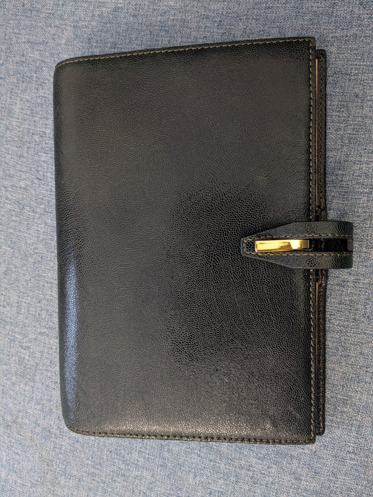 Filofax Panama Personal Green Leather Ring-Bound Planner 2010 - RARE!
