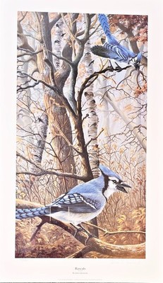 Rascals Blue Jay Print James Kennedy Signed & Numbered 14'' x 24''